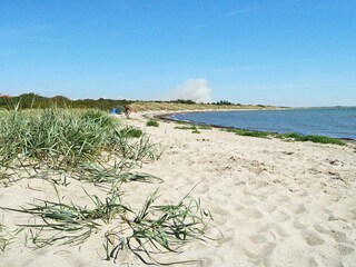 Ferienhaus Dannemare  16