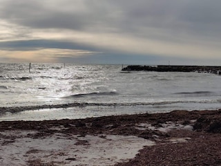 Ferienhaus Dannemare  40