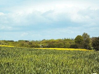 Vakantiehuis Købingsmark  38