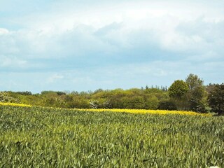 Vakantiehuis Købingsmark  17