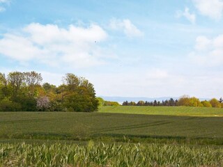 Vakantiehuis Købingsmark  40