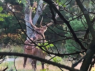 Casa per le vacanze Vejers Strand Registrazione all'aperto 1