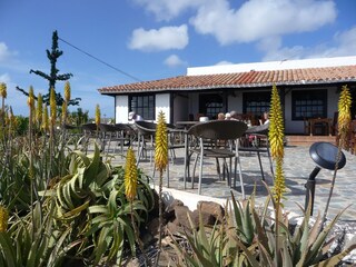 Maison de vacances Costa Calma Environnement 26