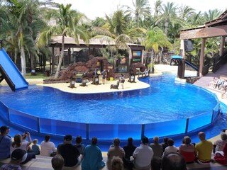 Vakantiehuis Costa Calma Omgeving 25