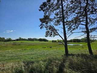 Vakantiehuis Kegnæs  8