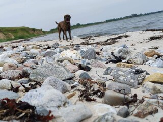 Casa per le vacanze Kegnæs  36