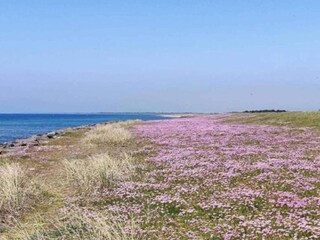 Casa per le vacanze Rødby  5