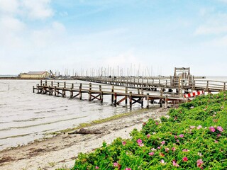 Vakantiehuis Wackerballig  5