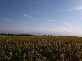 Maison de vacances Jægerspris  22