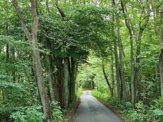 Ferienhaus Jægerspris  25