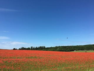 Vakantiehuis Jægerspris  20