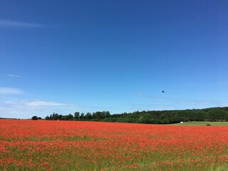Vakantiehuis Jægerspris  31