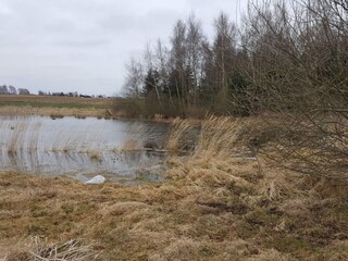 Vakantiehuis Jægerspris  34