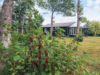 Ferienhaus Thyholm Außenaufnahme 8