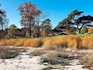 Ferienhaus Snogebæk Außenaufnahme 5