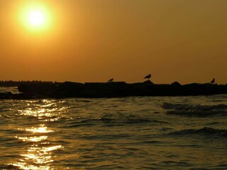 Vakantiehuis Snogebæk  36