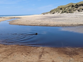 Vakantiehuis Hirtshals  17