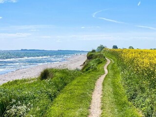 Casa per le vacanze Wackerballig  11