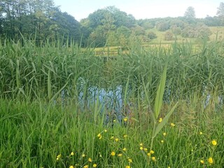 Vakantiehuis Kolding  31