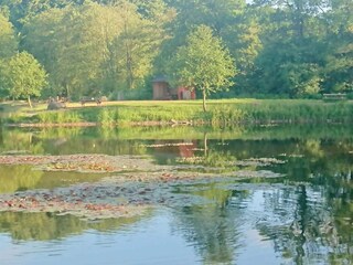 Vakantiehuis Kolding  36