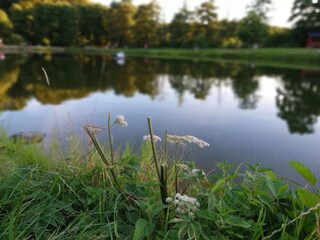 Casa per le vacanze Kolding  11