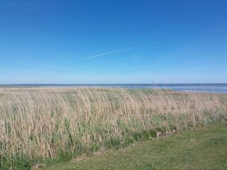 Ferienhaus Ørsted  21