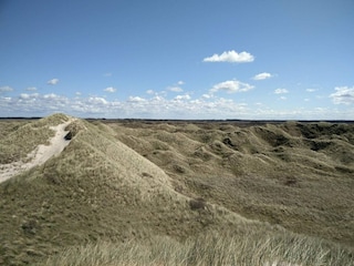 Holiday house Rødhus  20