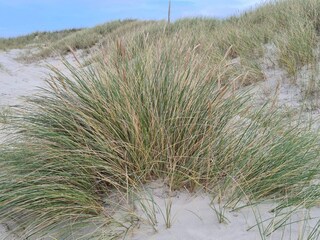 Maison de vacances Rødhus  10