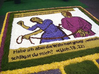 Blumenteppich