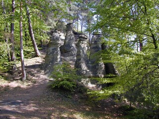 Wanderung zu den 7 Kurfürsten