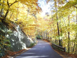 Herbstwanderung