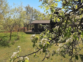 Maison de vacances Læsø Enregistrement extérieur 4