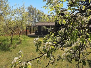 Vakantiehuis Læsø Buitenaudio-opname 3
