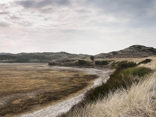 Ferienhaus Vorupør  31