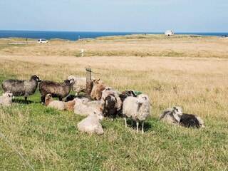 Casa de vacaciones Ferring  17