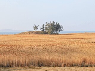 Maison de vacances Falsled  40