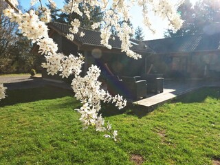 Casa de vacaciones Lynderup Grabación al aire libre 6