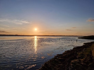 Ferienhaus Lynderup  33