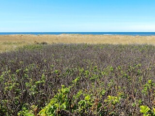 Casa per le vacanze Lønstrup  3