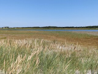 Vakantiehuis Læsø  14