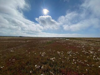 Vakantiehuis Læsø  13