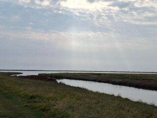 Vakantiehuis Læsø  24