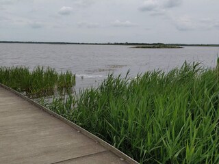 Vakantiehuis Henne Strand  19