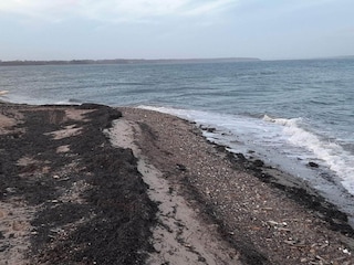 Ferienhaus Ørding  2