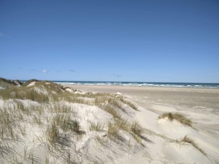 Ferienhaus Rødhus  23