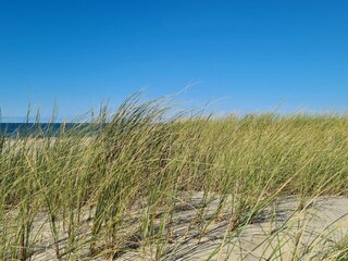 Casa per le vacanze Rødhus  33