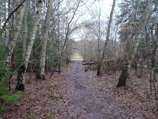 Ferienhaus Udsholt Strand  14