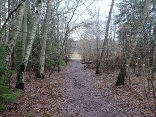 Ferienhaus Udsholt Strand  11