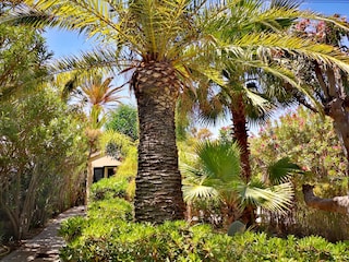 Bungalow Marina di Modica Omgeving 14