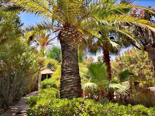 Holiday home in the bungalow park directly by the sea